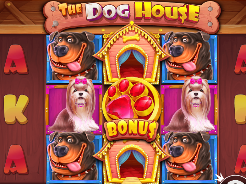 The Dog House